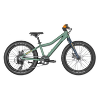 Scott Roxter 20" 2022 - Green